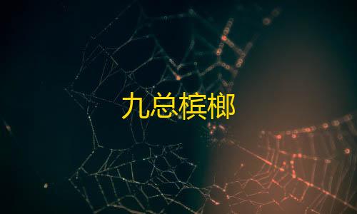 暗区突围外挂辅助软件九总槟榔